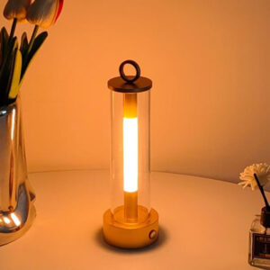 Portable LED table lamp JH241075