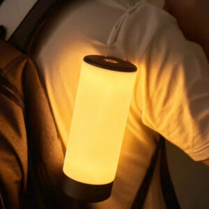 Portable LED Table Lamp JH241074