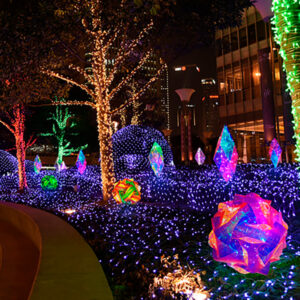 Decorative LED FLower Ball Lamp JH240160
